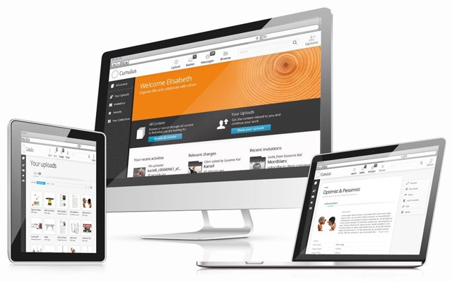 Digital Asset Management Systems