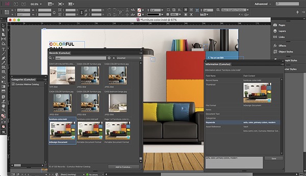Digital Asset Management Systems