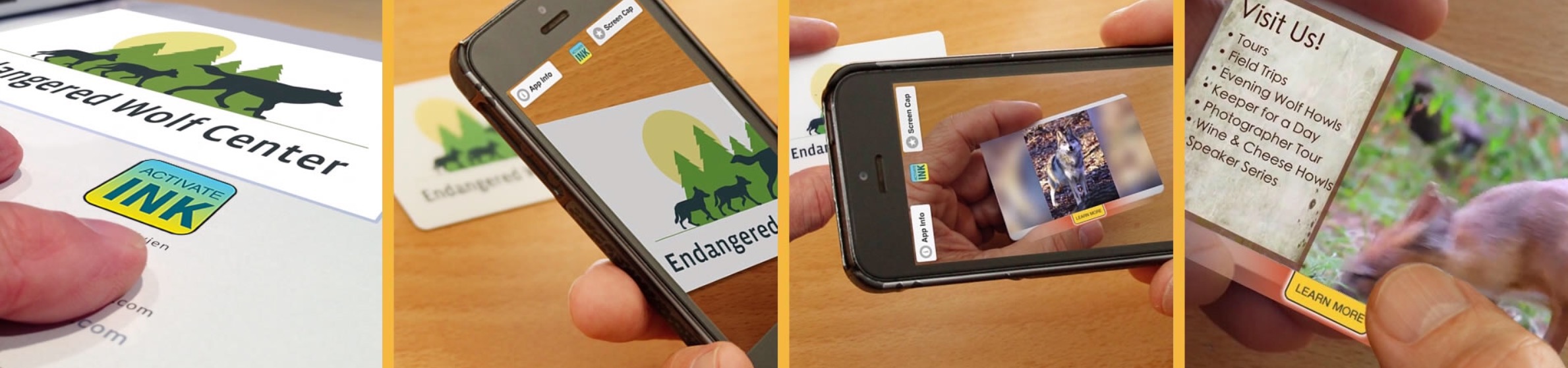 Image recognition interactive